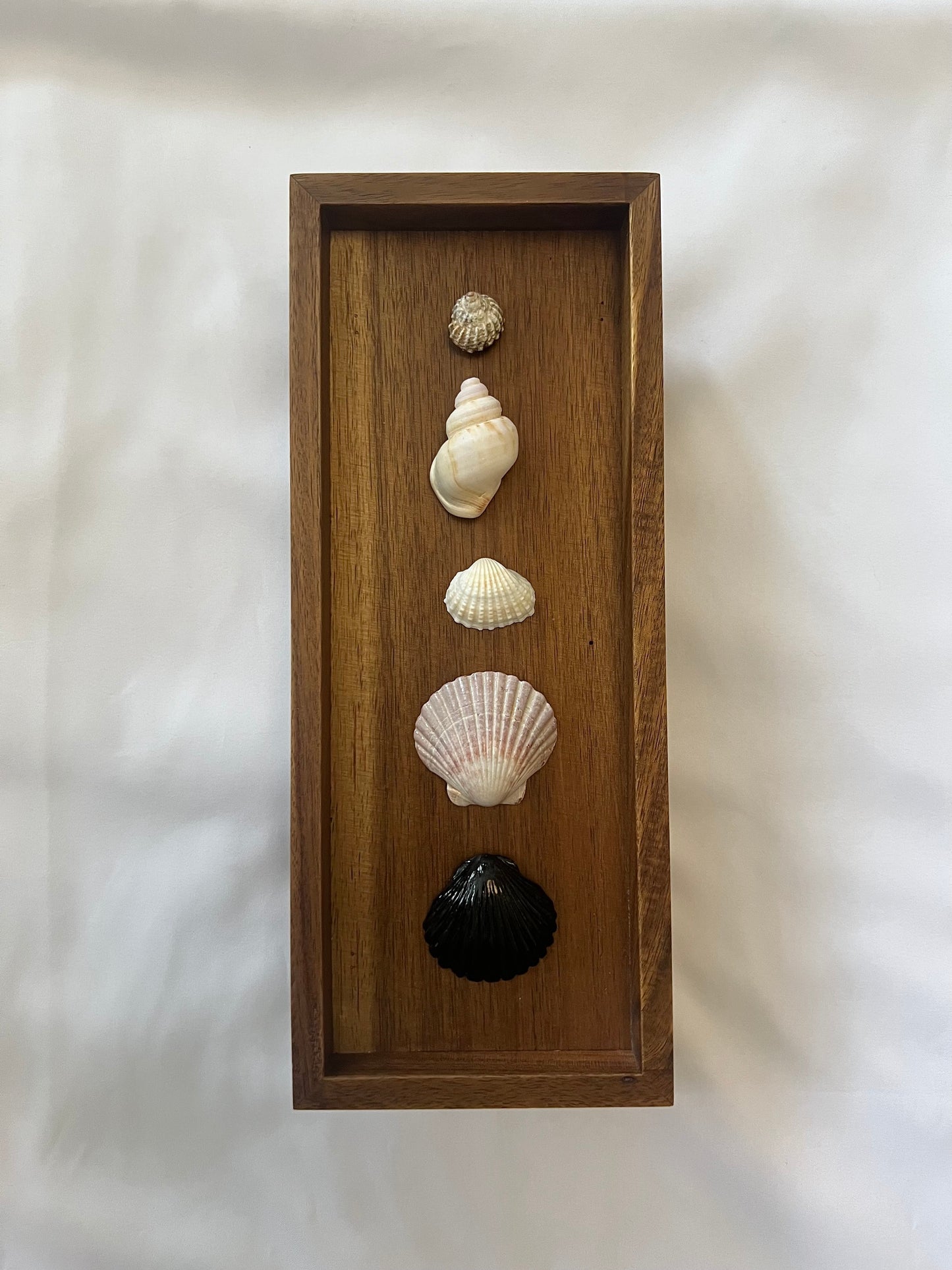 WHITE ARK SHELL TASSEL NECKLACE